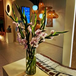 -水沐莲清瑜伽·普拉提