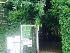 -Fern Forest Cafe