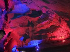 -梦幻奥陶纪景区