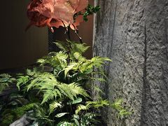 -唐宫足道·SPA·影院会馆(木渎店)