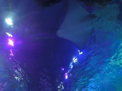 -沈阳海洋探索中心