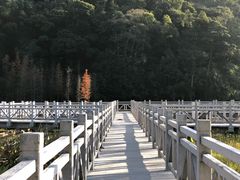 -广州市石门国家森林公园