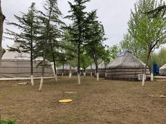 -九十九顶毡房(阜石路店)