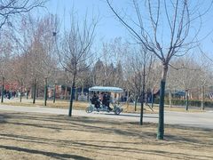 -朝阳公园游乐园