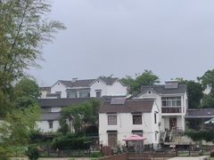 -大塘金香草谷