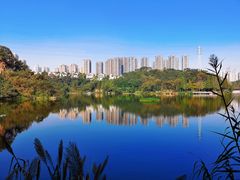 -重庆彩云湖湿地公园
