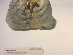 -生命奥秘博物馆