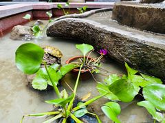 -南堂小馆·川菜馆(德商国际店)