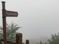 -大岭沟猕猴桃谷风景区