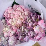 娇艳欲滴の夏日鲜花打卡地🌹