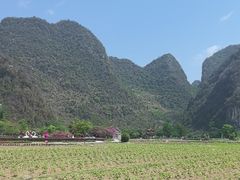 -靖西鹅泉风景区