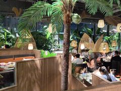 -大头椰·椰子鸡火锅(南宁万象城店)