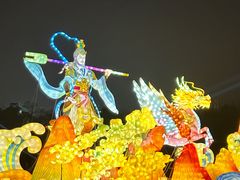 -武汉园博园(武汉自然博物馆)