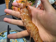 -左舞日本料理