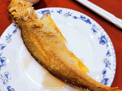 -老吉士酒家(天平路店)