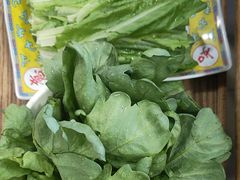 -芦月轩羊蝎子(北蜂窝店)