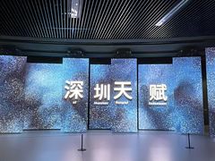 -深圳市当代艺术与城市规划馆
