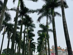 -顺峰山公园
