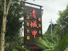 -青城甲(青城山店)