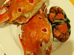 -咖啡苑·沈阳今旅酒店Hotel Jen·香格里拉集团