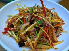 -白天鹅家宴·东北菜