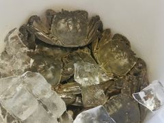 -川骄海鲜自助(河东店)