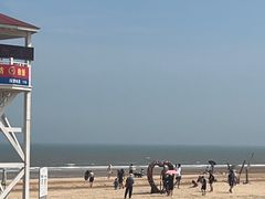 -日照海滨国家森林公园