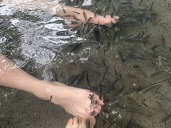 -龙山酒店温泉