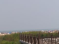-日照海滨国家森林公园
