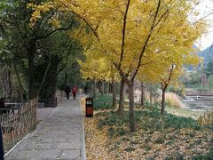 -贵阳市花溪国家城市湿地公园