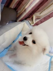 -Halo美甲美睫