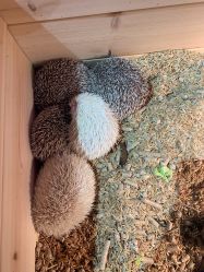 -酷嗒动物文化乐园(cutezoo西溪乐天城店)