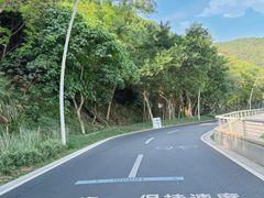 -鹿嘴山庄