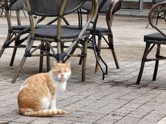 -鼎瀚中医门诊部