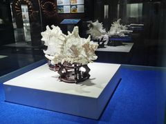 -贝壳王国博物馆