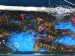 -港畔赶海蒸汽海鲜烧烤自助(仙螺岛店)