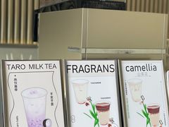 -iTAFE蓝火柴(新光汇店)