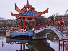 -金砂公园