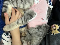 -萌兽医馆·犬猫专科·眼科中心·宠物医院(朝阳门分院)