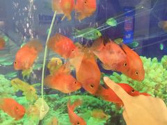 -优雅口腔数字化正畸·种植中心(珠江新城旗舰店)