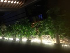 -皇室水疗SPA(星河湾酒店店)