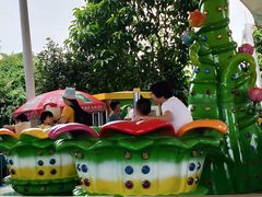 -百万葵园