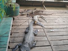 -洞里萨湖