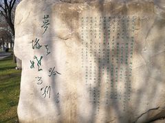 -唐城墙遗址公园
