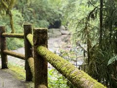 -西岭雪山大飞水景区