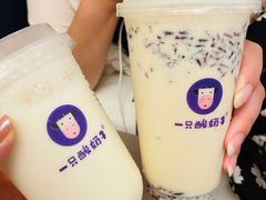-一只酸奶牛(八一路店)
