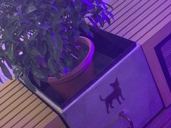 -星巴克(天津鲁能中心第三店)