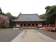 -醍醐寺