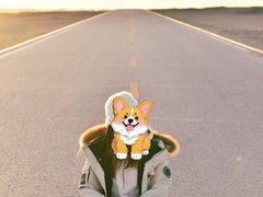 -敦煌雅丹国家地质公园