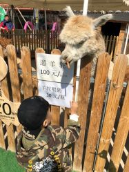 -萌宠亲子动物乐园(槐房万达店)